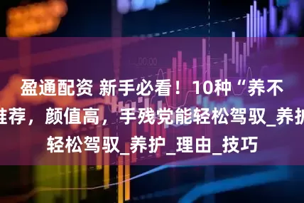 盈通配资 新手必看！10种“养不死”的绿植推荐，颜值高，手残党能轻松驾驭_养护_理由_技巧