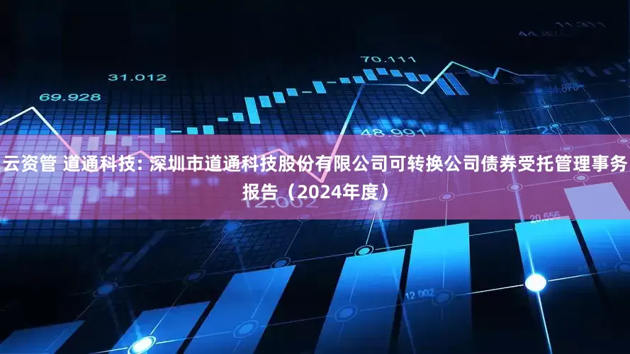 云资管 道通科技: 深圳市道通科技股份有限公司可转换公司债券受托管理事务报告(2024年度)