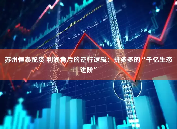 苏州恒泰配资 利润背后的逆行逻辑：拼多多的“千亿生态进阶”