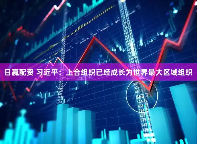 日赢配资 习近平：上合组织已经成长为世界最大区域组织