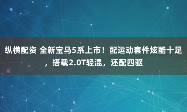 纵横配资 全新宝马5系上市！配运动套件炫酷十足，搭载2.0T轻混，还配四驱