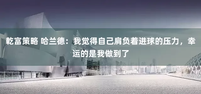 乾富策略 哈兰德：我觉得自己肩负着进球的压力，幸运的是我做到了