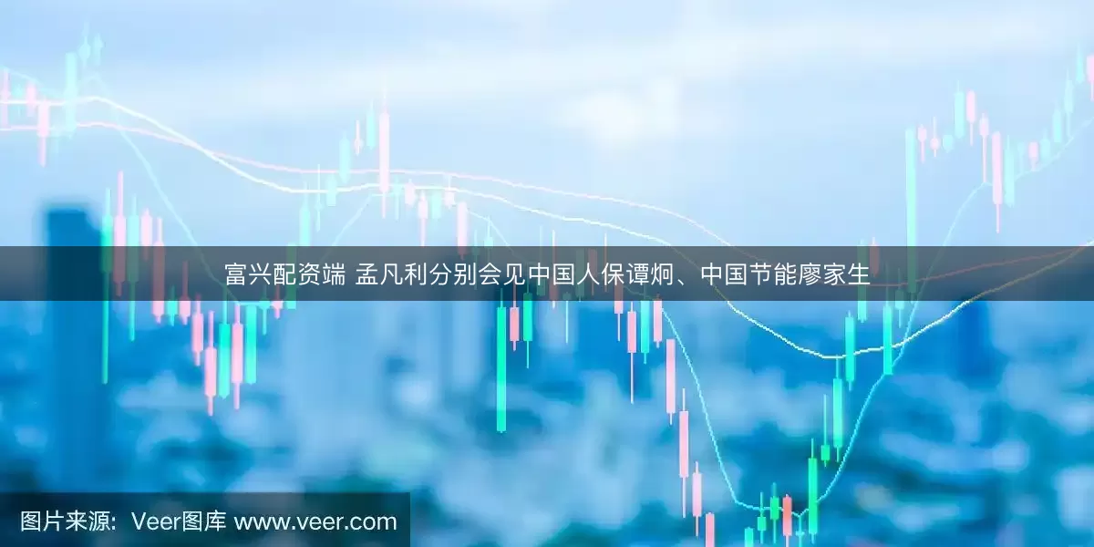 富兴配资端 孟凡利分别会见中国人保谭炯、中国节能廖家生