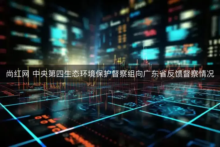 尚红网 中央第四生态环境保护督察组向广东省反馈督察情况